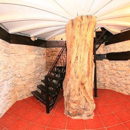 Castelul Lupilor Chimindia Bagian luar foto