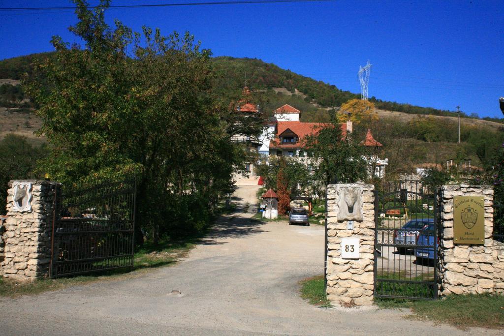 Castelul Lupilor Chimindia Bagian luar foto