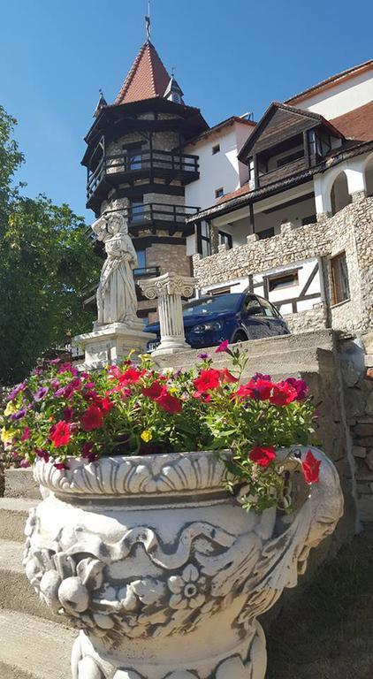 Castelul Lupilor Chimindia Bagian luar foto